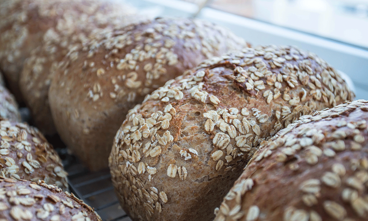 Saftige havrebrød pyntet med havregryn på rekke og rad på kjølerist ved et vindu.