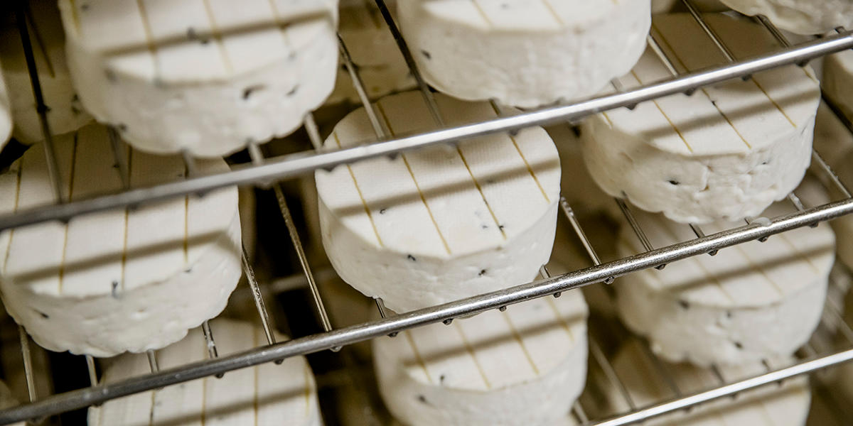 Pepperbrie på rister