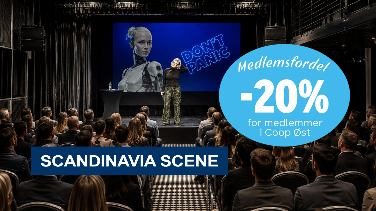 scandinavian-scene1