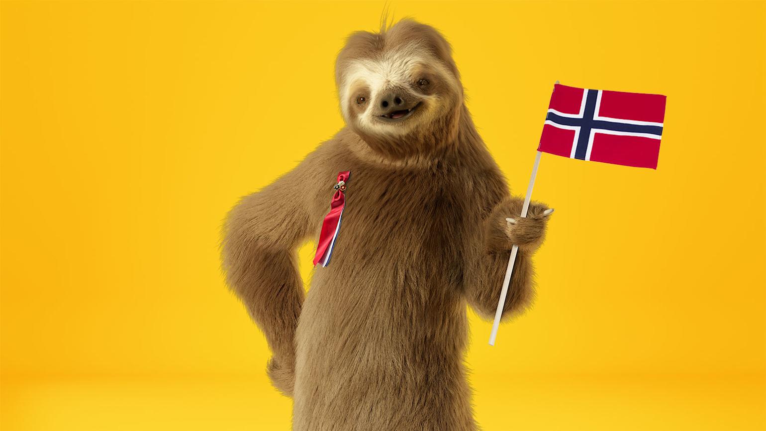 Dovendyret vaier med norsk flagg