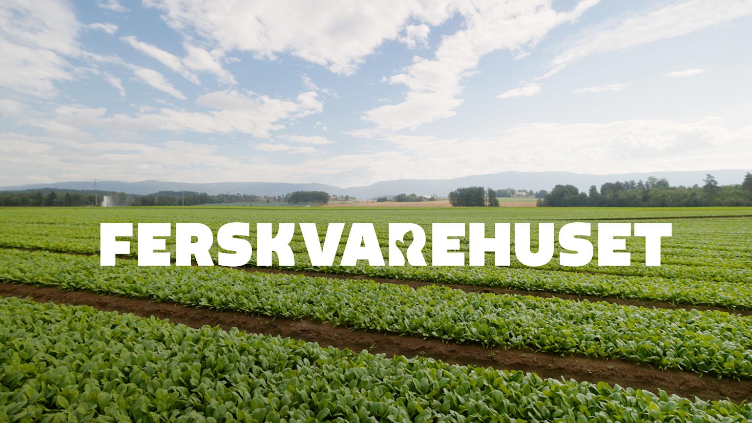 Ferksvarehuset - Salatåker