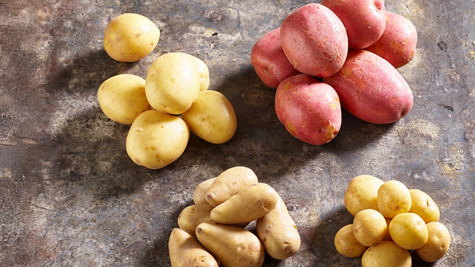Fire ulike typer poteter liggende på en rustikk overflate – gule runde poteter, røde poteter, lange fingerpoteter og små gule nypoteter.