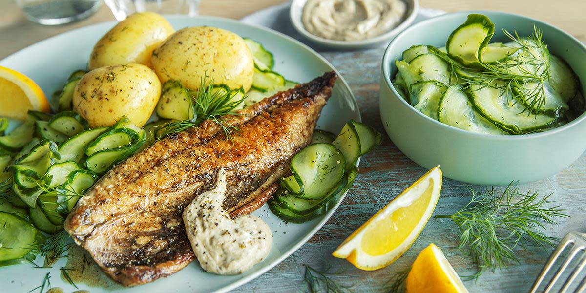 stekt-makrell-med-agurksalat-hovedbilde.jpg