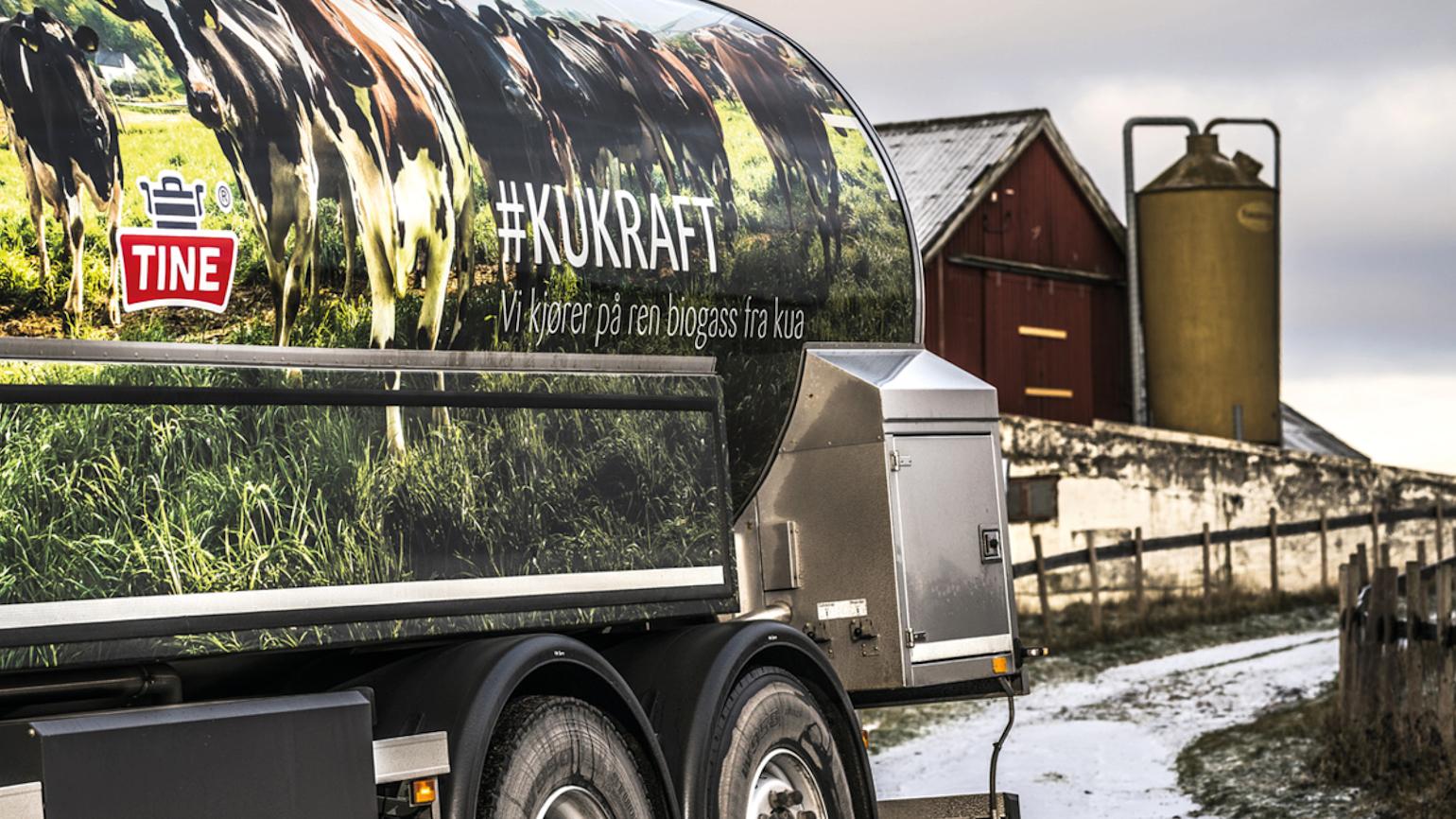 Tankbil til frakting av melk fra Tine. Tanken har foto av kuer og grønt gress, med Tine-logo.