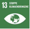 #13 Stoppe klimaendringene