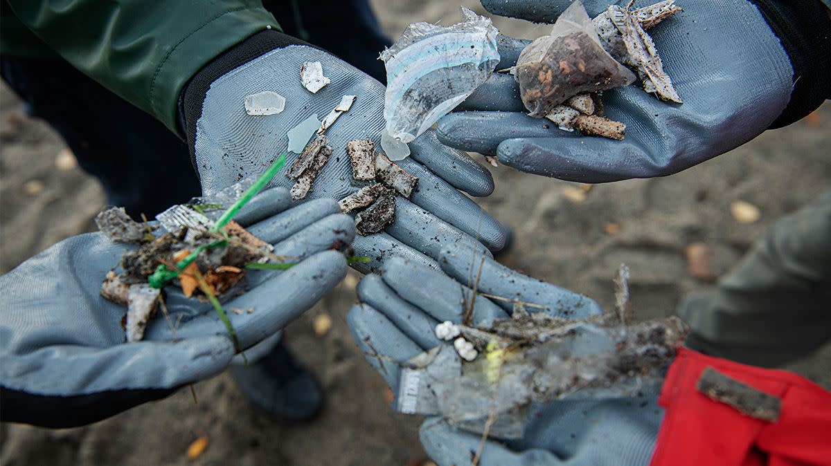 Fire hender med hansker som viser frem plast de har ryddet