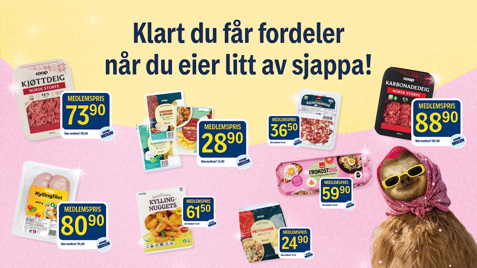 Lavere medlemspriser på 100 hverdagsvarer hos Coop Prix.