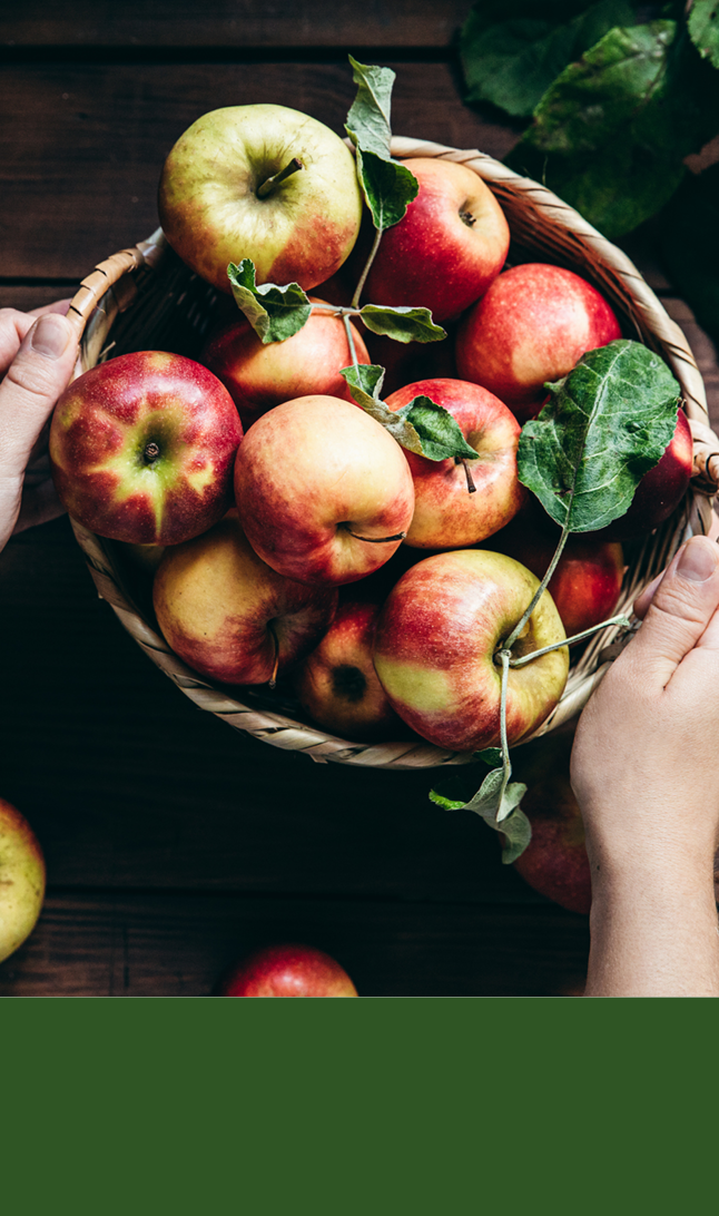 Kurv med epler øverst og grønn bakgrunn nederst