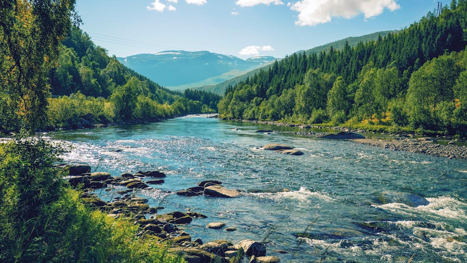 Naturbilde av en elv.