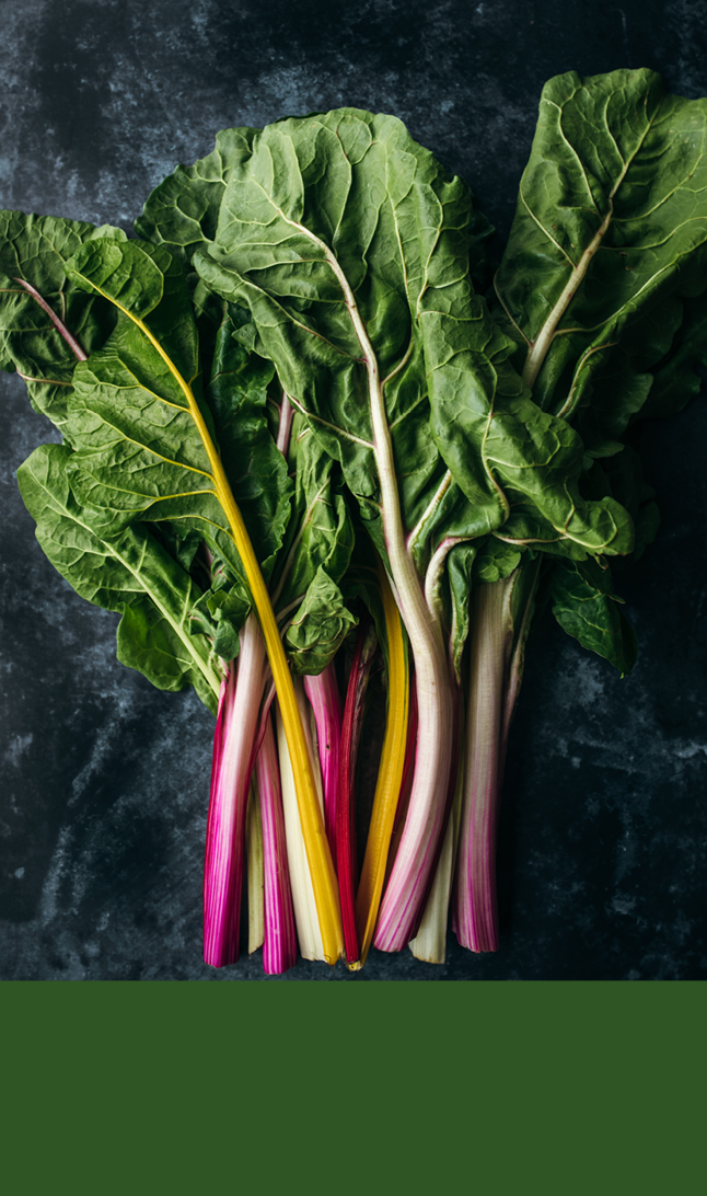 Salatblader øverst og grønn bakgrunn nederst