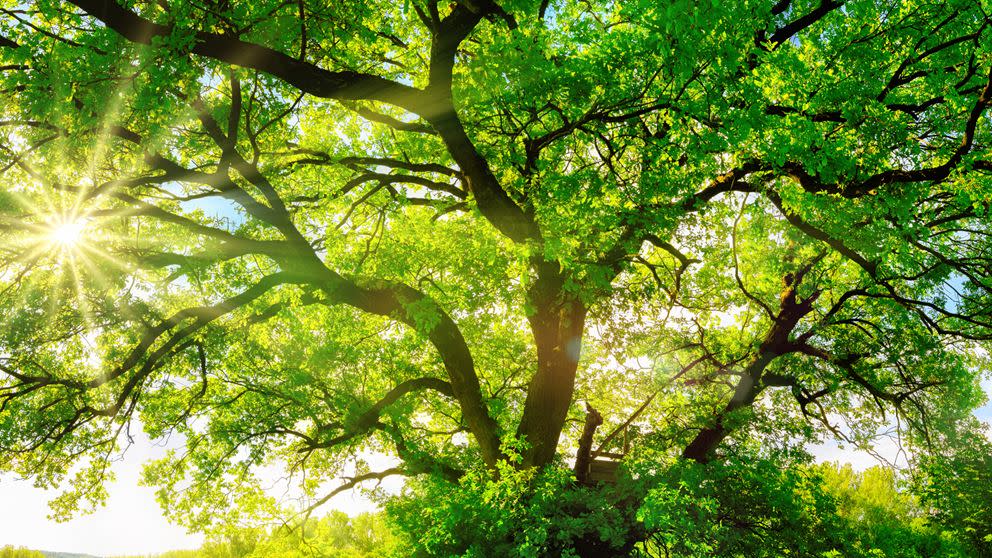 Bærekraft Slik jobber vi Bærekraftsrapporter