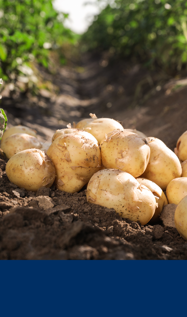 Industri hero mobil totenpoteter