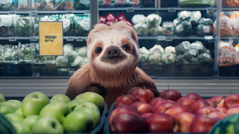 Dovendyret i frukt og grønt avdelingen