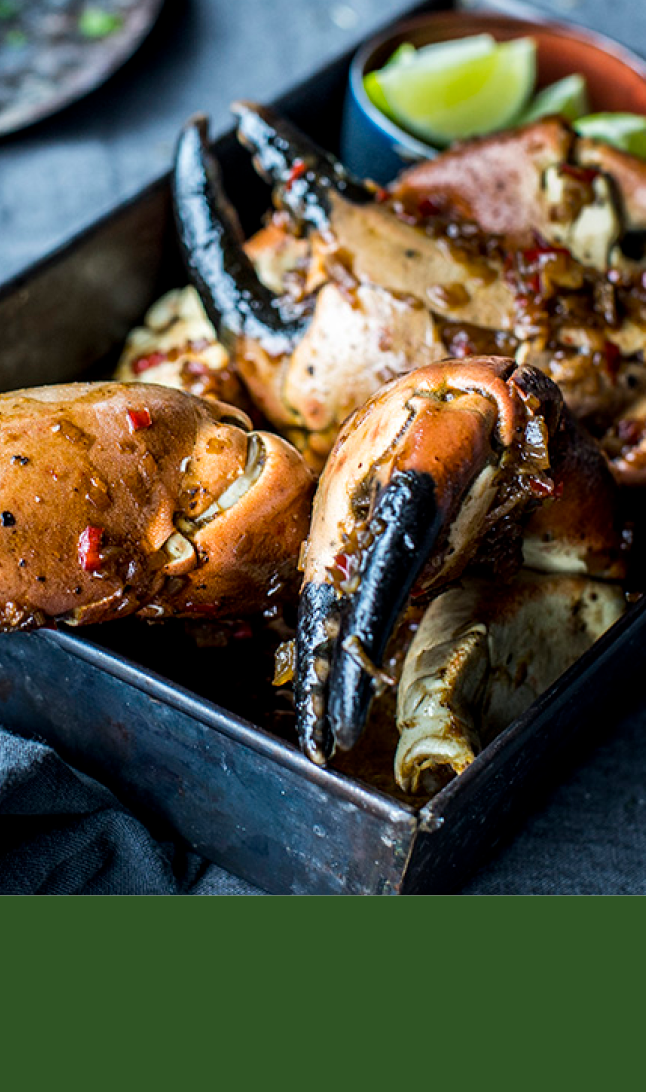 Krabbe på sort fat øverst og grønn bakgrunn nederst