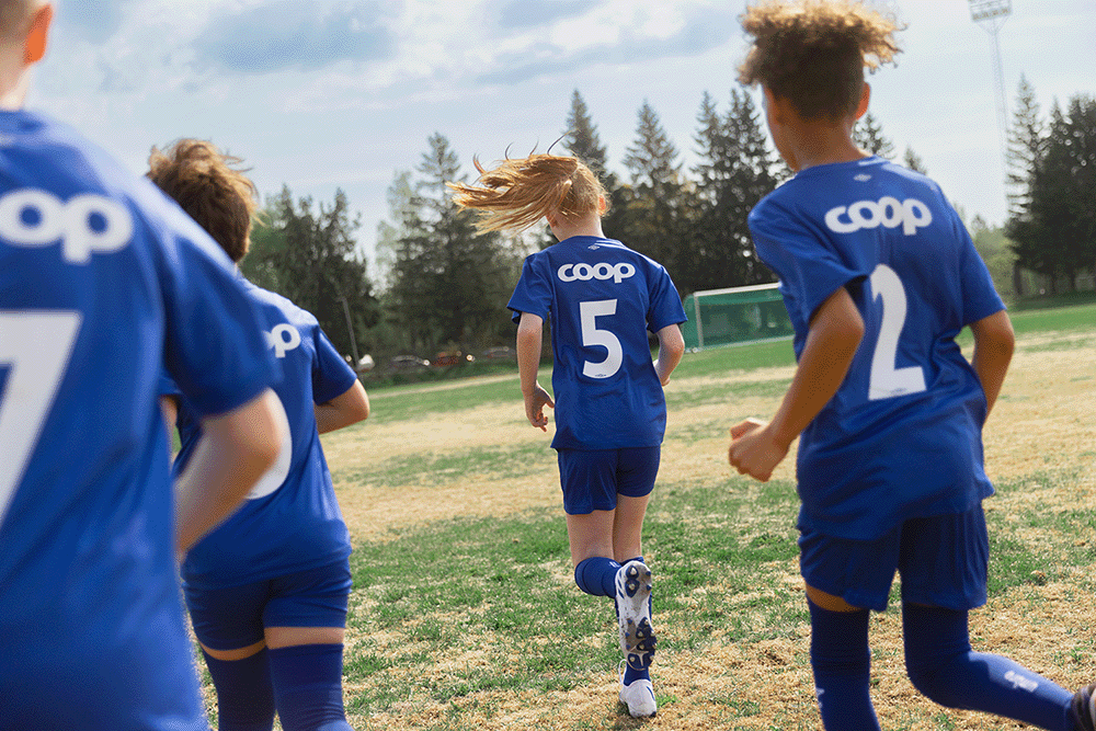 Dugnad Draktkampanje mai 2023 - 09