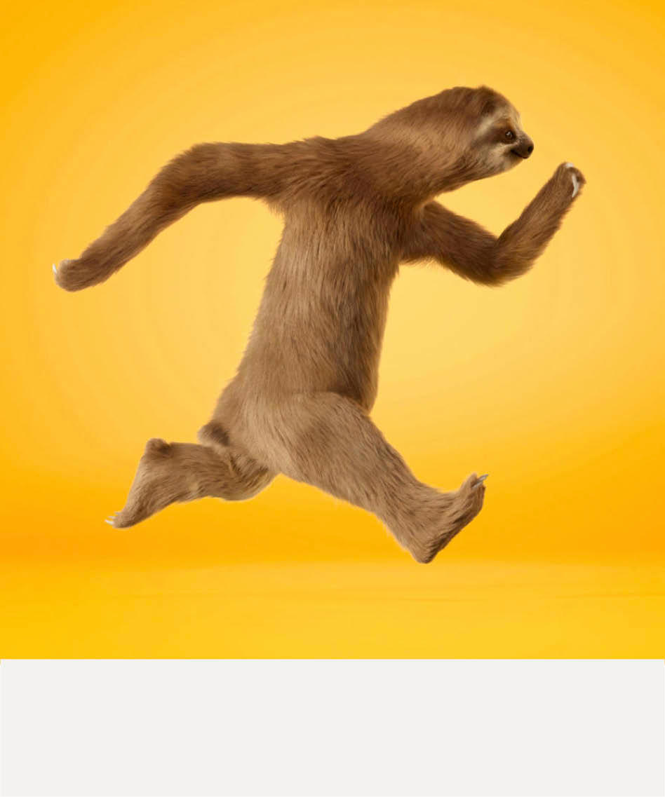 Dovendyret løper over skjermen på gul bakgrunn med beige stripe nederst