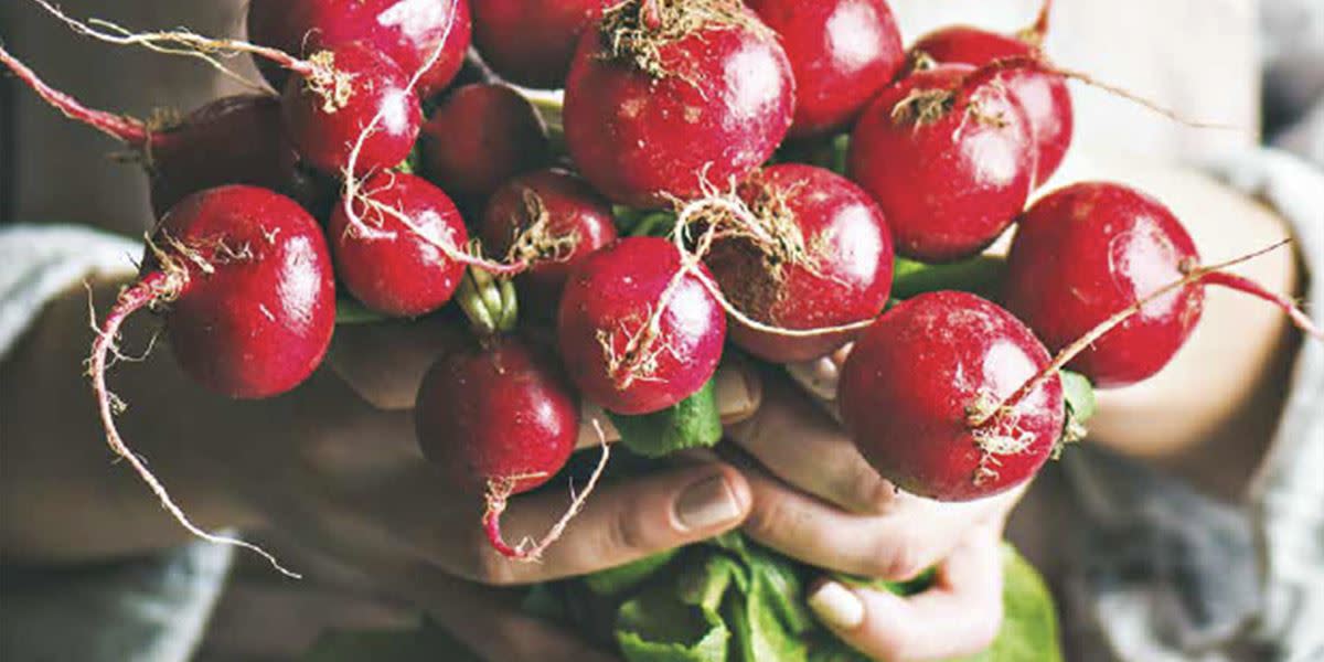 Ferskplukkede rødbeter