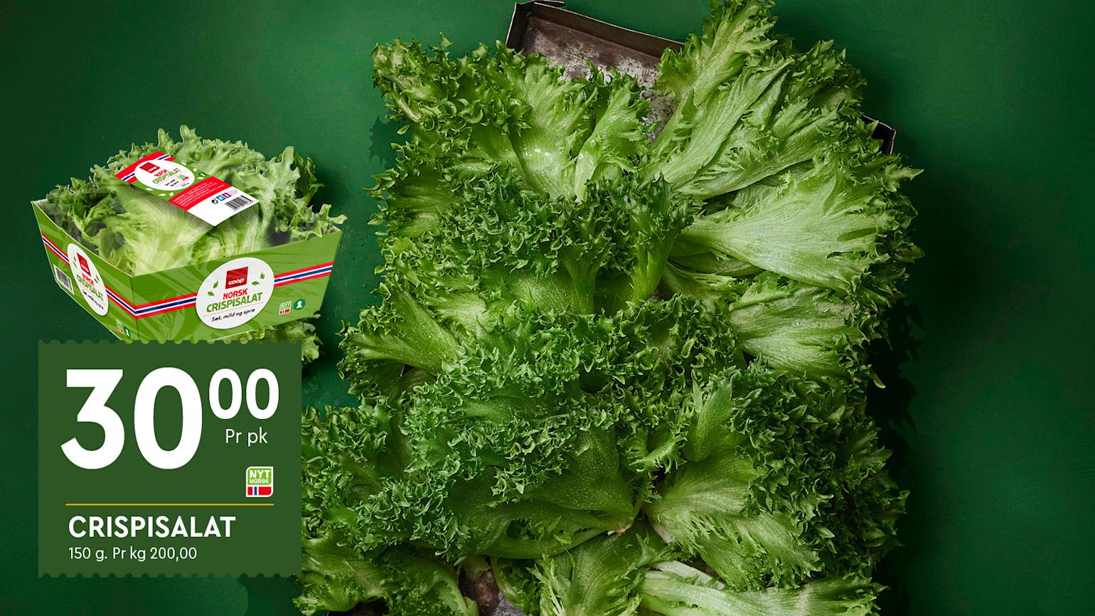 Del av fruktsjefens favoritter. et nærbilde av chrispsalat som dekker store deler av bildet.