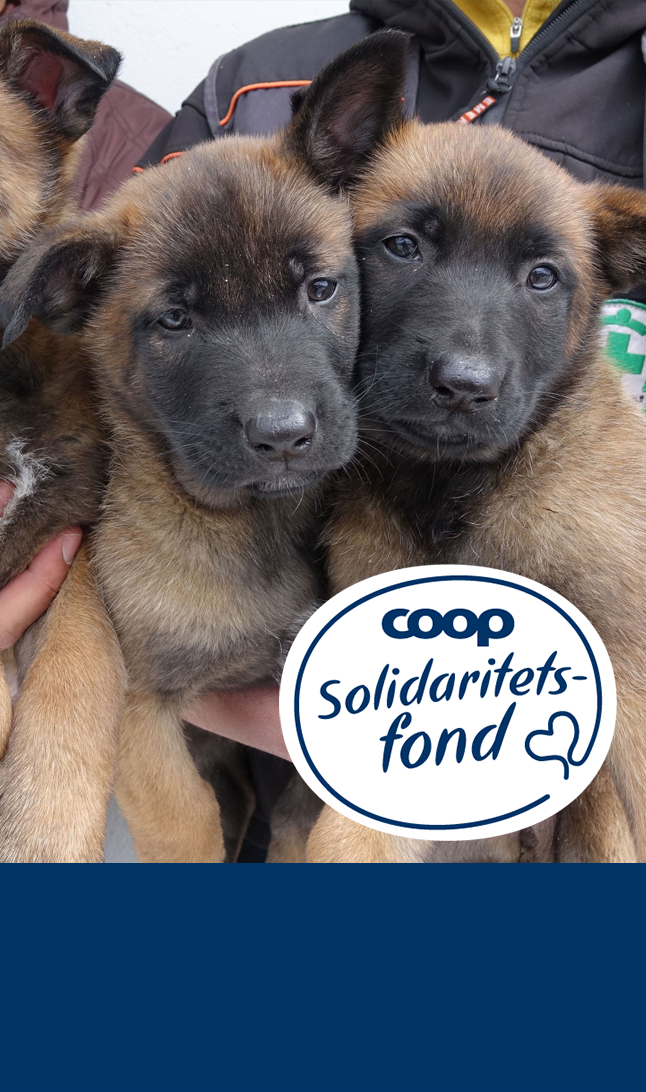 Coop solidaritetsfondet