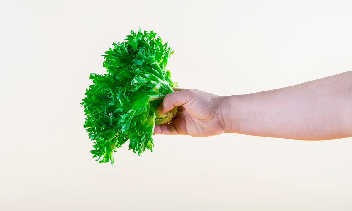 Hånd holder frisk salat