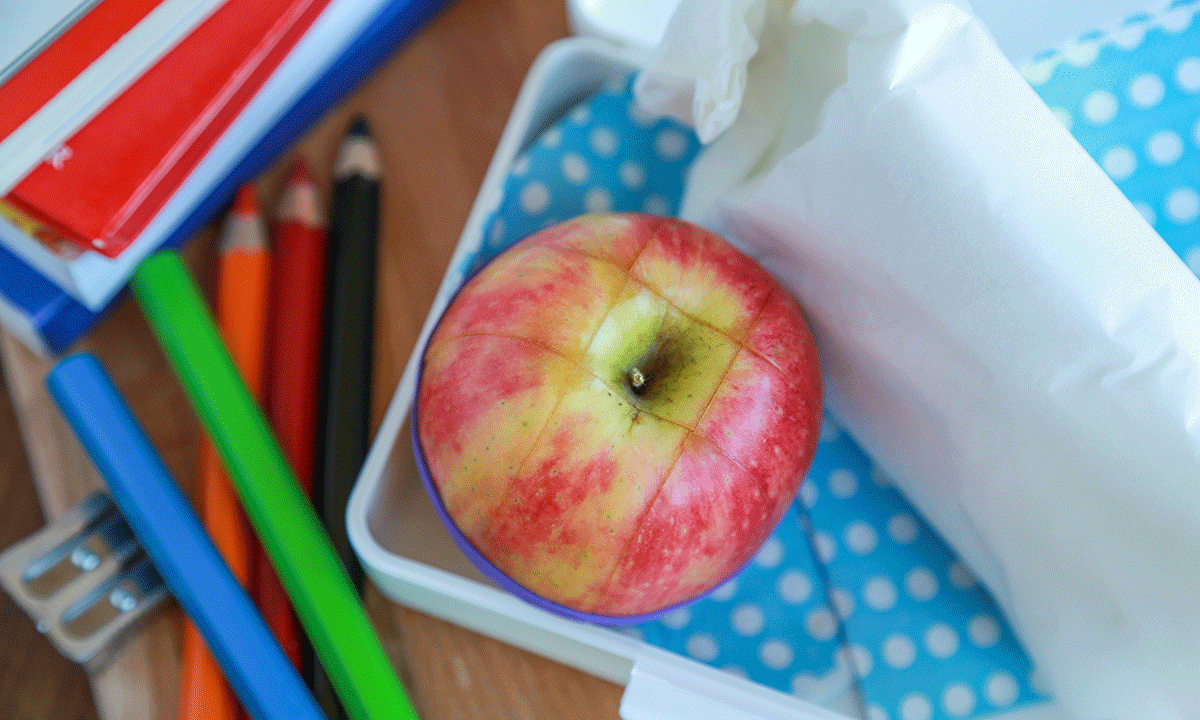 Delt eple sammen med matpakke