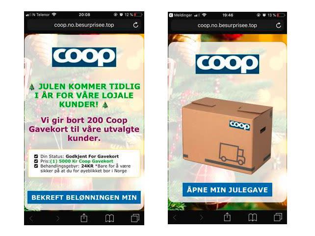 Eksempel på svindelforsøk