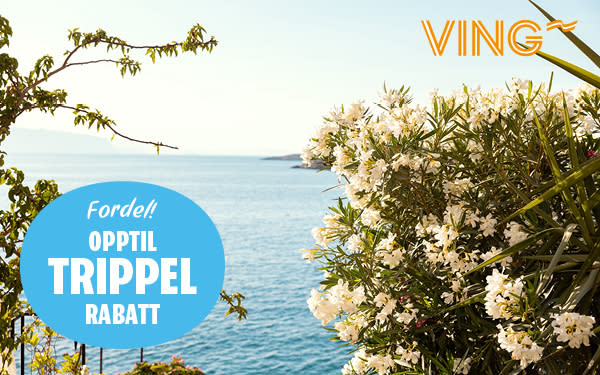 Trippel Rabatt ving