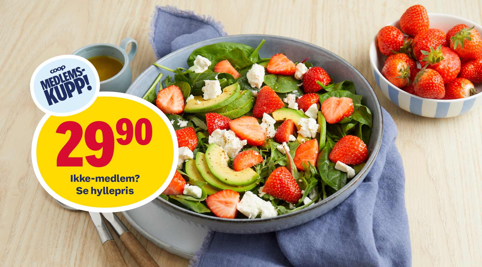 Salat web-MK