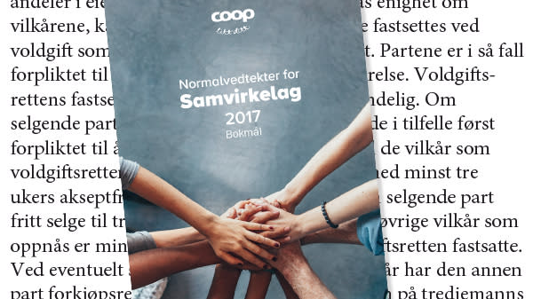 Bilde av forsiden av vedtekter